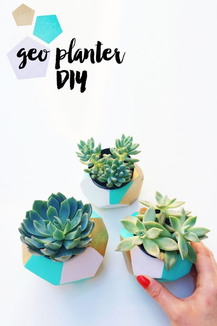 Geometric-succulent-planter