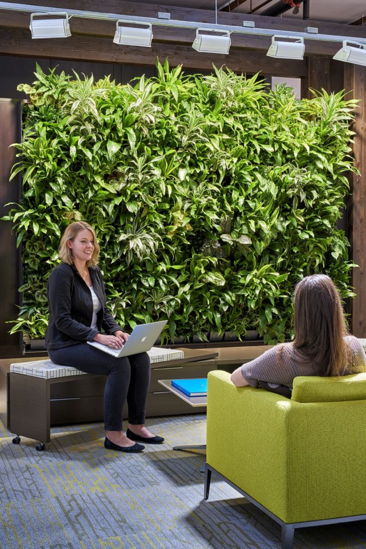 API-Design-Offices-–-Mountain-View-interview-area-with-green-walls