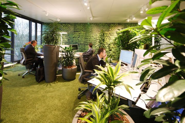 Greenery-offices-from-easyCredit-–-Nuremberg-Headquarters