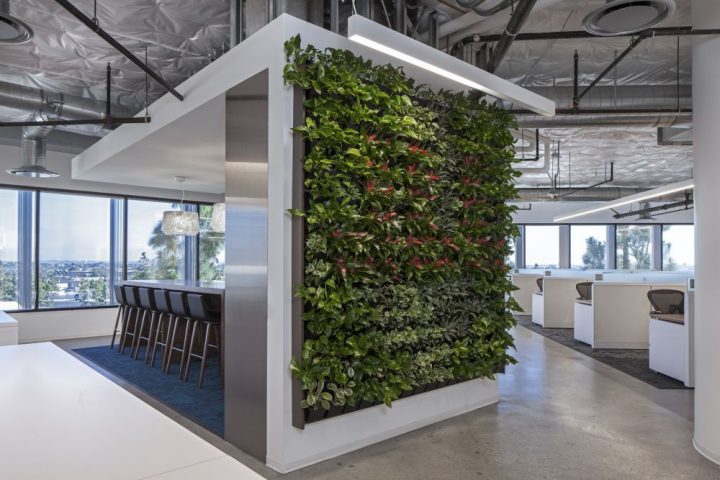 JLL-Offices-–-El-Segundo-Green-Walls