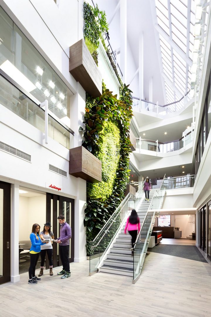 Lululemon-Athletica-–-Vancouver-Offices-Green-Large-Vertical-Walls