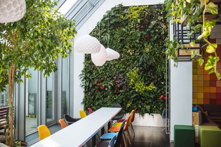 Lush-vegetation-on-Skyscanner-–-Budapest-Offices