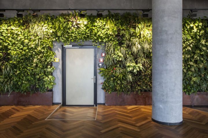 Windward-Offices-–-Tel-Aviv-Green-Walls