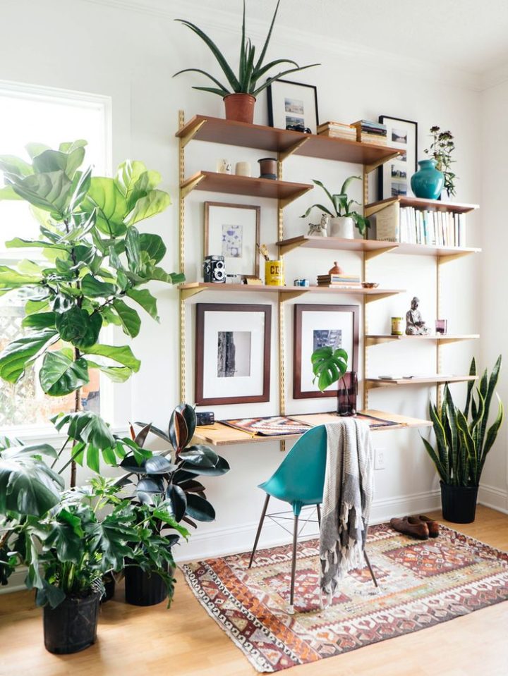 add-plants-for-your-workspace-area