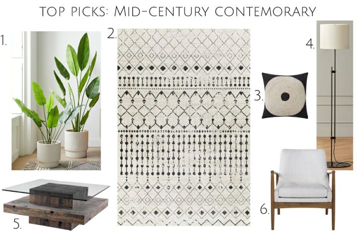 Contemporary-mid-century-modern-living-room-top-picks