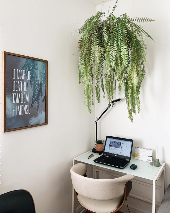 Home-office-hanging-plants