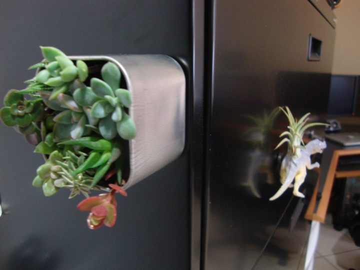 Mini-Succulent-Garden-Magnet