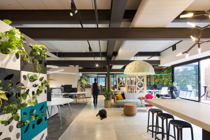 rfa-Architects-Offices-Interior