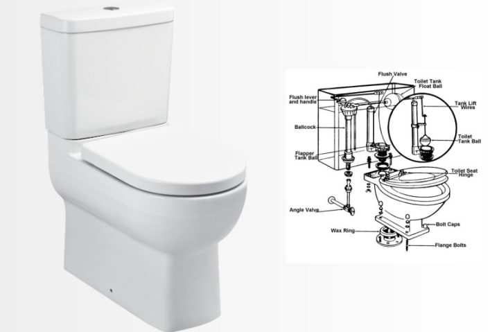 Toilet-diagram