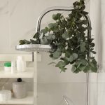 Bathe Vegetation That Wish to Survive in Your Lavatory