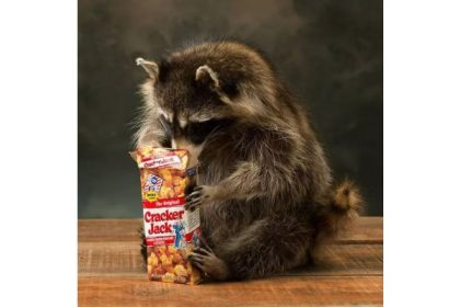 What is the Use of Cracker Jack Racoon Mount?